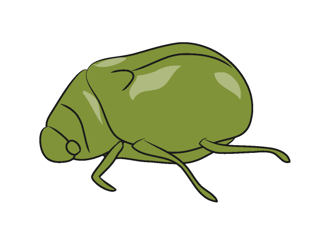 コガネムシ - 動物 / クリップアート / 無料 / アニマル / イラスト / アイコン / かわいい / 絵