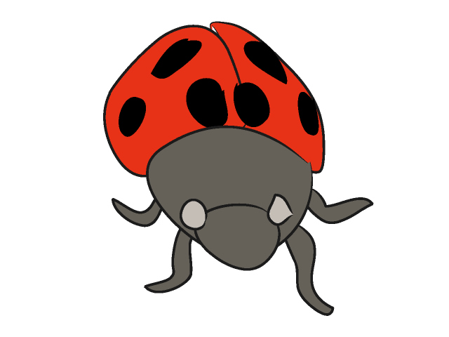 テントウムシ - 動物 / クリップアート / 無料 / アニマル / イラスト / アイコン / かわいい / 絵