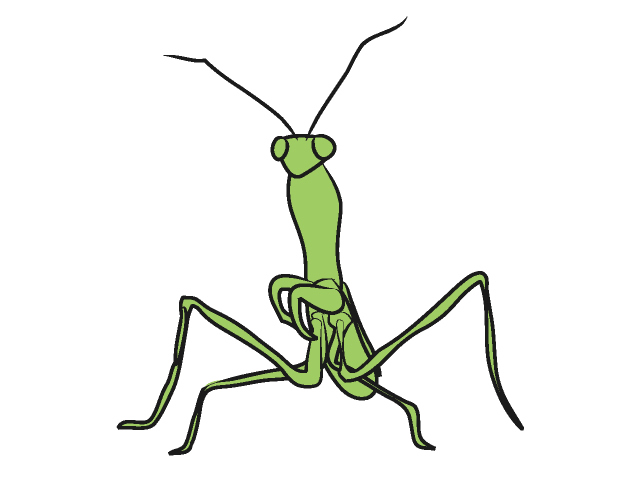 カマキリ｜昆虫 - 動物 / クリップアート / 無料 / アニマル / イラスト / アイコン / かわいい / 絵