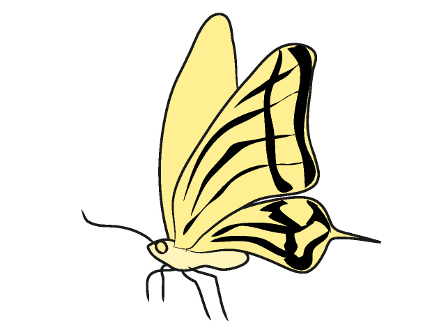 チョウチョ｜蝶 - 動物 / クリップアート / 無料 / アニマル / イラスト / アイコン / かわいい / 絵