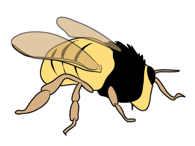 ハチ/蜂 - 動物 / クリップアート / 無料 / アニマル / イラスト / アイコン / かわいい / 絵