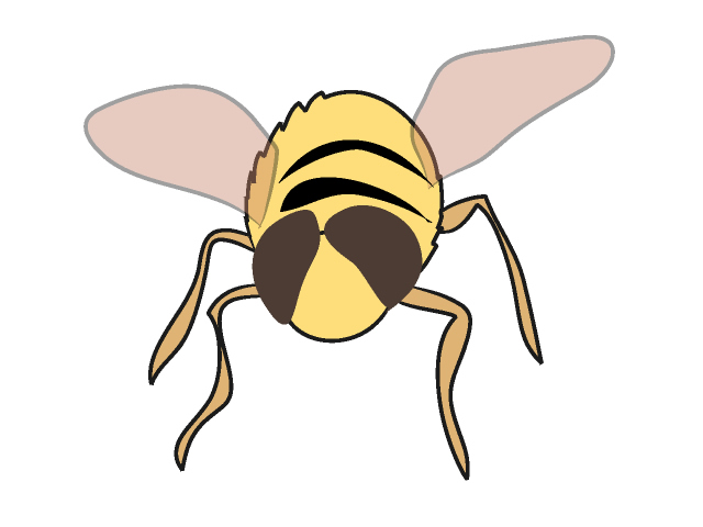 蜂｜ハチ - 動物 / クリップアート / 無料 / アニマル / イラスト / アイコン / かわいい / 絵