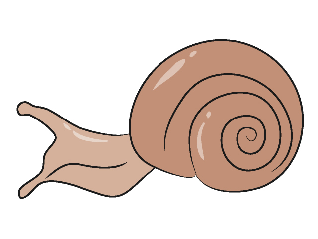 カタツムリ/蝸牛 - 動物 / クリップアート / 無料 / アニマル / イラスト / アイコン / かわいい / 絵