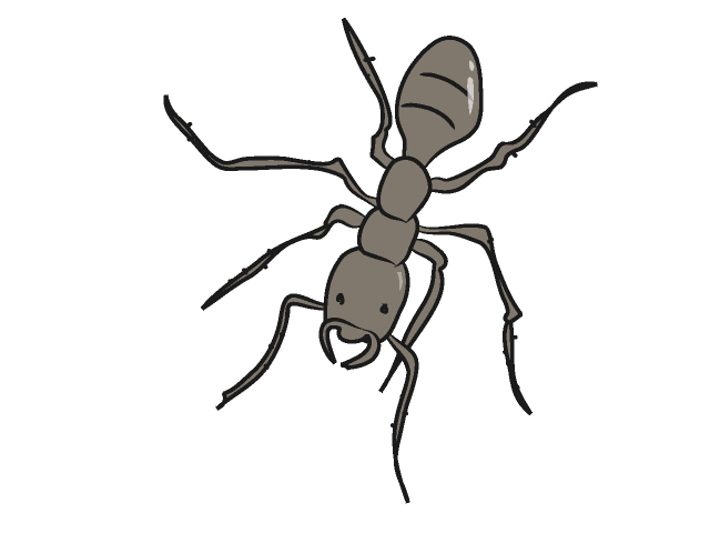 アリ/蟻 - 動物 / クリップアート / 無料 / アニマル / イラスト / アイコン / かわいい / 絵