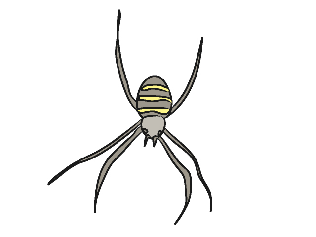 クモ/蜘蛛 - 動物 / クリップアート / 無料 / アニマル / イラスト / アイコン / かわいい / 絵