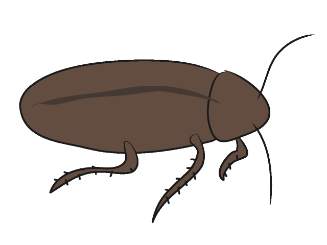 ゴキブリ/アブラムシ - 動物 / クリップアート / 無料 / アニマル / イラスト / アイコン / かわいい / 絵