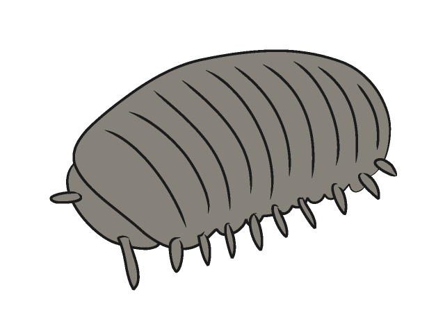 ダンゴムシ - 動物 / クリップアート / 無料 / アニマル / イラスト / アイコン / かわいい / 絵