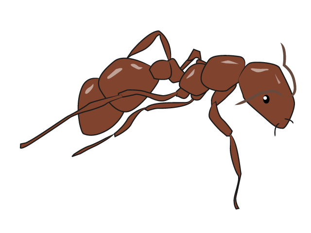 ヒアリ - 動物 / クリップアート / 無料 / アニマル / イラスト / アイコン / かわいい / 絵