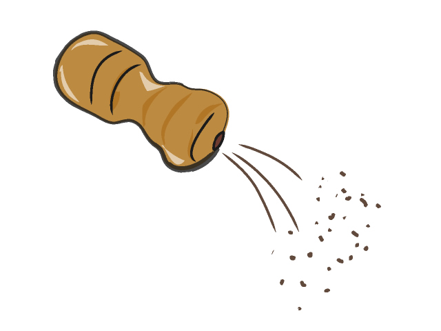 胡椒/こしょう - フード/食べ物/美味しい/おやつ/イラスト/写真/フリー素材/クリップアート