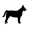 Dog ｜ Dog ――Icon ｜ Illustration ｜ Free material ｜ Transparent background