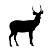 Deer ｜ Deer ｜ Icon ｜ Illustration ｜ Free material ｜ Transparent background