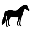 Horse ｜ Horse ｜ Icon ｜ Illustration ｜ Free material ｜ Transparent background