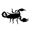 Scorpion ｜ Scorpion ｜ Icon ｜ Illustration ｜ Free material ｜ Transparent background