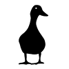 Duck ｜ House duck ――Icon ｜ Illustration ｜ Free material ｜ Transparent background