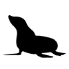 Seal ｜ Sea leopard ｜ Icon ｜ Illustration ｜ Free material ｜ Transparent background