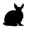 Rabbit ｜ Rabbit ――Icon ｜ Illustration ｜ Free material ｜ Transparent background