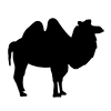 Camel ｜ Camel ｜ Icon ｜ Illustration ｜ Free material ｜ Transparent background