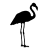 Flamingo ｜ Bird-Icon ｜ Illustration ｜ Free material ｜ Transparent background