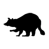 Raccoon-Icon ｜ Illustration ｜ Free material ｜ Transparent background