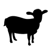 Goat ｜ Goat ――Icon ｜ Illustration ｜ Free material ｜ Transparent background