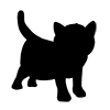 Kitten ｜ Cat ｜ Icon ｜ Illustration ｜ Free Material ｜ Transparent Background