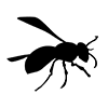 Bee ｜ Bee ――Icon ｜ Illustration ｜ Free material ｜ Transparent background