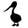Pelican ｜ Birds ――Icons ｜ Illustrations ｜ Free materials ｜ Transparent background