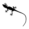 Lizards ｜ Lizards ――Icons ｜ Illustrations ｜ Free materials ｜ Transparent background