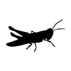 Grasshopper ｜ Flying 蝗 --Icon ｜ Illustration ｜ Free material ｜ Transparent background