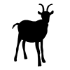 Goat ｜ Goat ――Icon ｜ Illustration ｜ Free material ｜ Transparent background