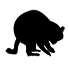 Raccoon ｜ Washing bear ｜ Icon ｜ Illustration ｜ Free material ｜ Transparent background