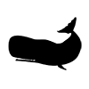 Whale ｜ Whale-Icon ｜ Illustration ｜ Free material ｜ Transparent background