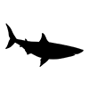 Shark ｜ Shark ｜ Icon ｜ Illustration ｜ Free material ｜ Transparent background