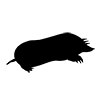 Mole ｜ Earth Dragon --Icon ｜ Illustration ｜ Free Material ｜ Transparent Background