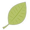 葉｜はっぱ - クリップアート｜イラスト｜フリー素材