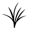 Rice field / rice field --Icon ｜ Illustration ｜ Free material ｜ Transparent background