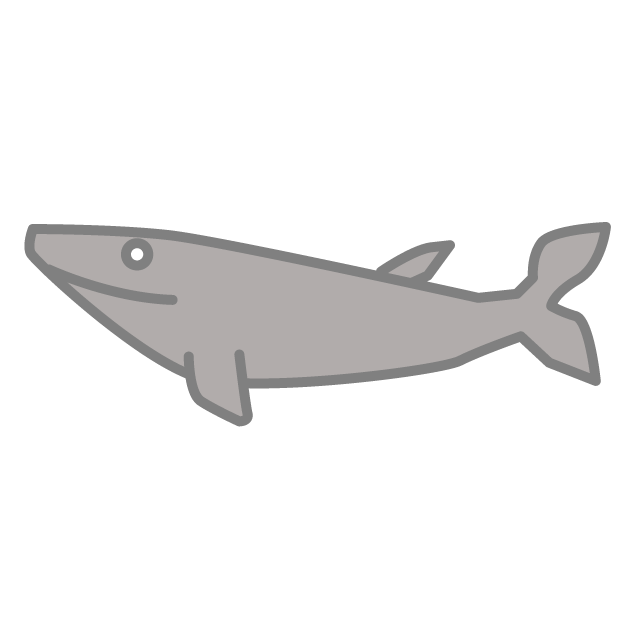 サメ｜魚類 - 挿絵 / クリップアート / 無料 / 家電 / 乗り物 / 動物 / 家具 / イラスト / ダウンロード