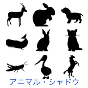 鹿、毛づくろいするウサギ、犬、クジラ、座るウサギ、猫、バッタ、ペリカン、後ろ足で立つ馬など、様々な動物のシルエットアイコンセット。