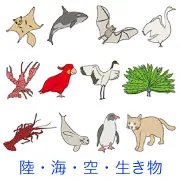 ムササビ、シャチ、コウモリ、白鳥、ザリガニ、オウム、鶴、孔雀、エビ、アザラシ、ペンギン、猫のイラスト。空、海、陸の多様な生き物が3段に配置され、それぞれの特徴を捉えたシンプルで分かりやすいカラー図版集。